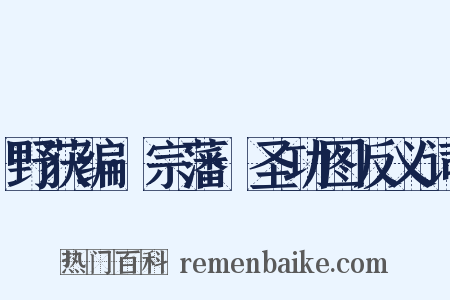 野获编·宗藩·圣功图反义词是什么意思的图片